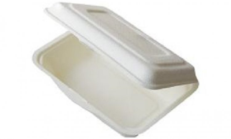 COQUILLE PULPE 183X125MMX600 CARTON DE 24 PQTS DE 25 SOIT  600 PIECES PAR CARTON